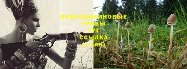 таблы Пересвет
